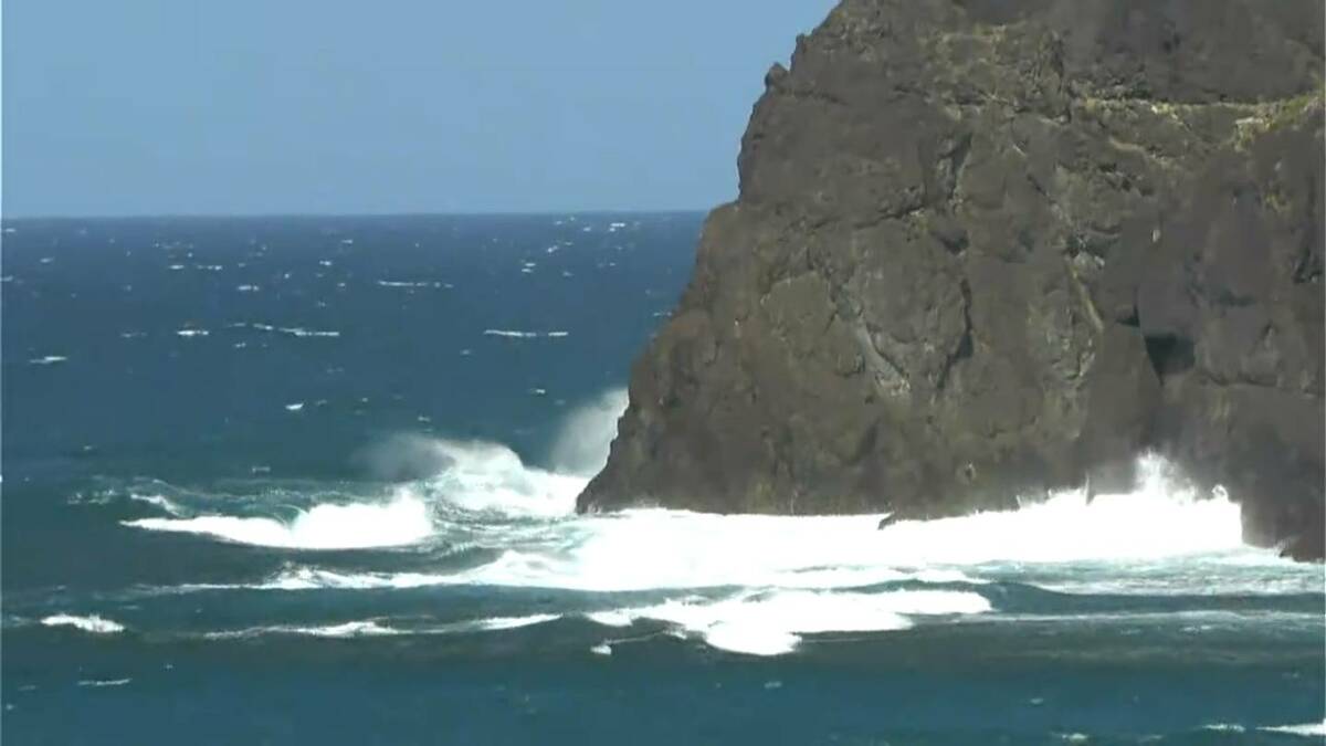 屋久島ガイド協会から宮之浦岳・白谷雲水峡の情報 - 呼ばれた人しか来れないと言われる- 2023年04月06日 -