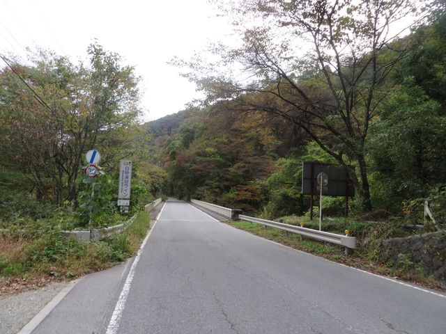 白砂渓谷ライン 紅葉2015年 :