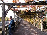 ヴィランドリー城チケット、ツアーなどを予約