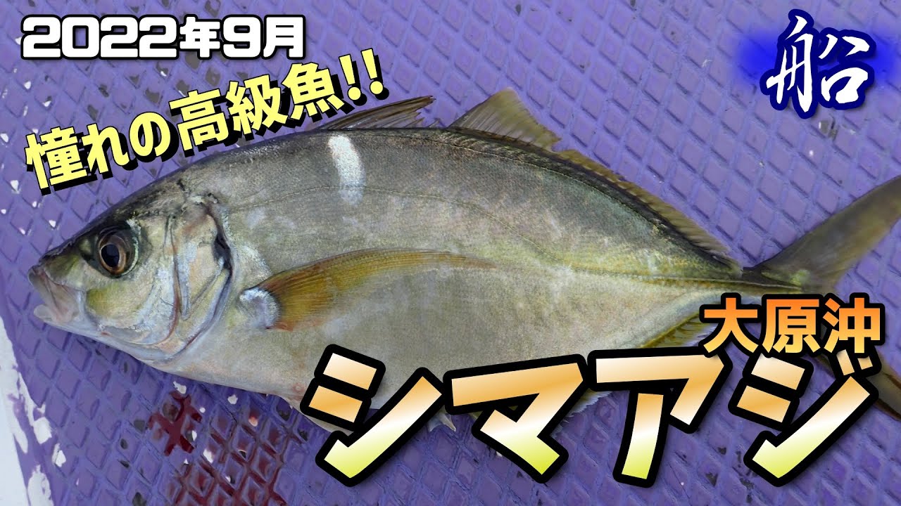 すさみ沖半夜のシマアジ株式会社オーナーばり海釣り仕掛け、投げ釣り仕掛け、釣り針、淡水仕掛けなど、釣具全般商品を製造・販売
