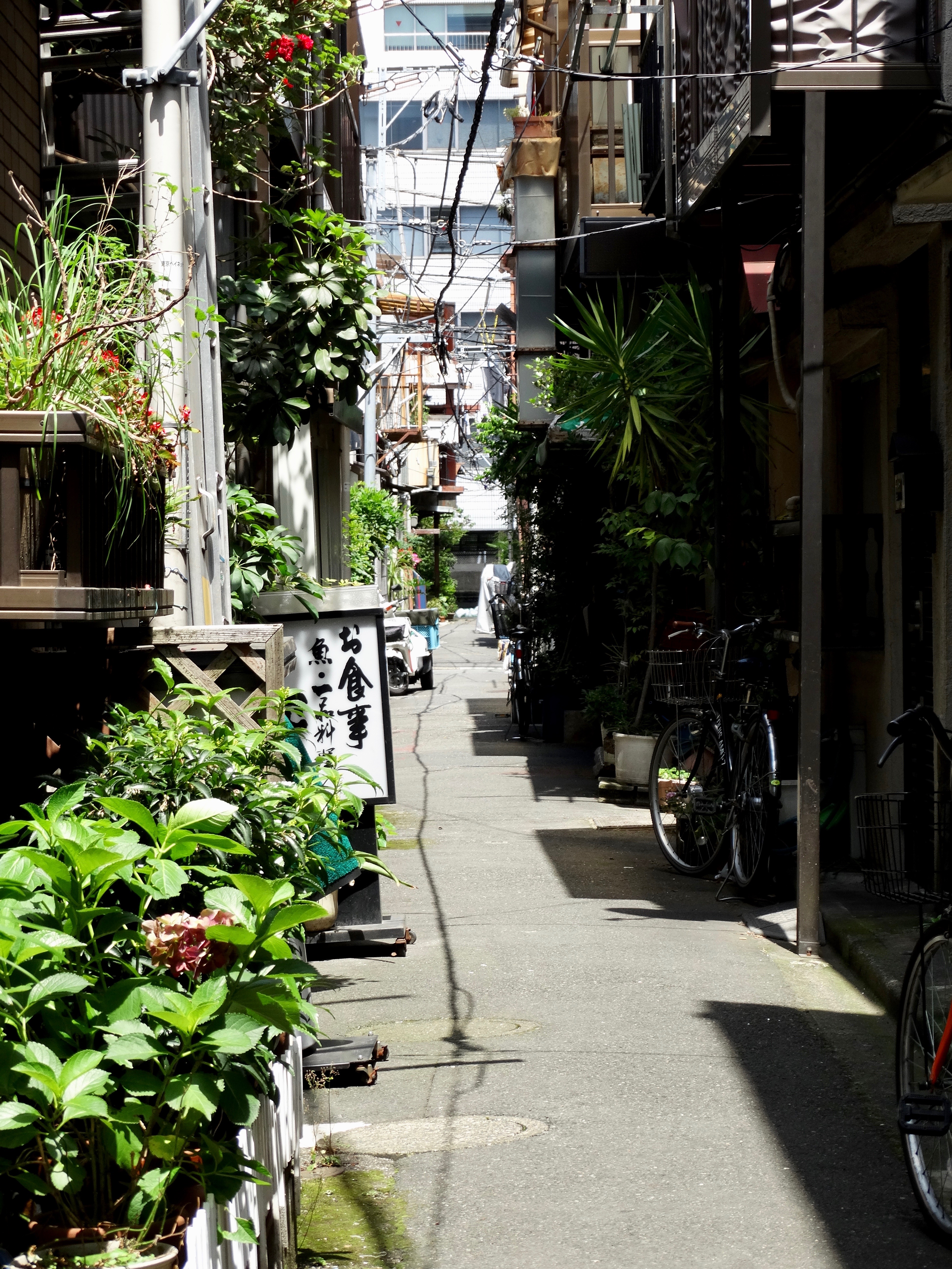 地域雑誌「佃・月島」8号発売中 2024年7月お役立ち情報公式 佃月島新聞 つくつき新聞