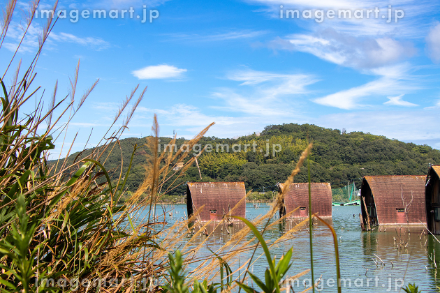 岡山県瀬戸内市にある水没ペンション村。広い水溜まりに小屋や電柱、標識などが水没しています。電柱には電線も通ってたり 4枚目 車まで水没しちゃTikTok