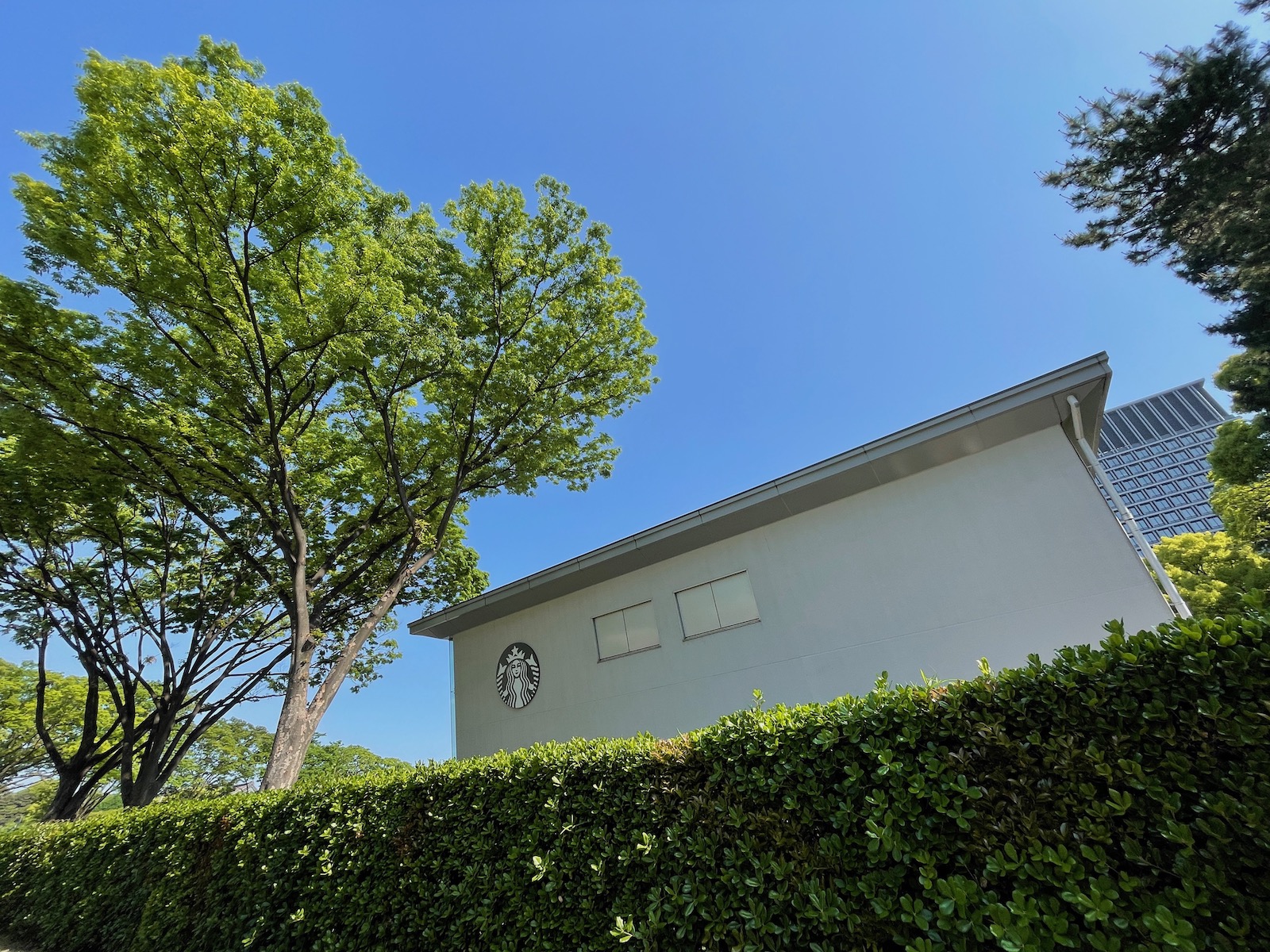 スタバ 皇居外苑にオープン！日本初のエコなストアで限定メニューをチェックMORE