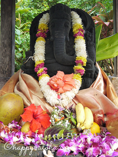 秘密がいっぱいのカウアイ島Kayo Kanagawa