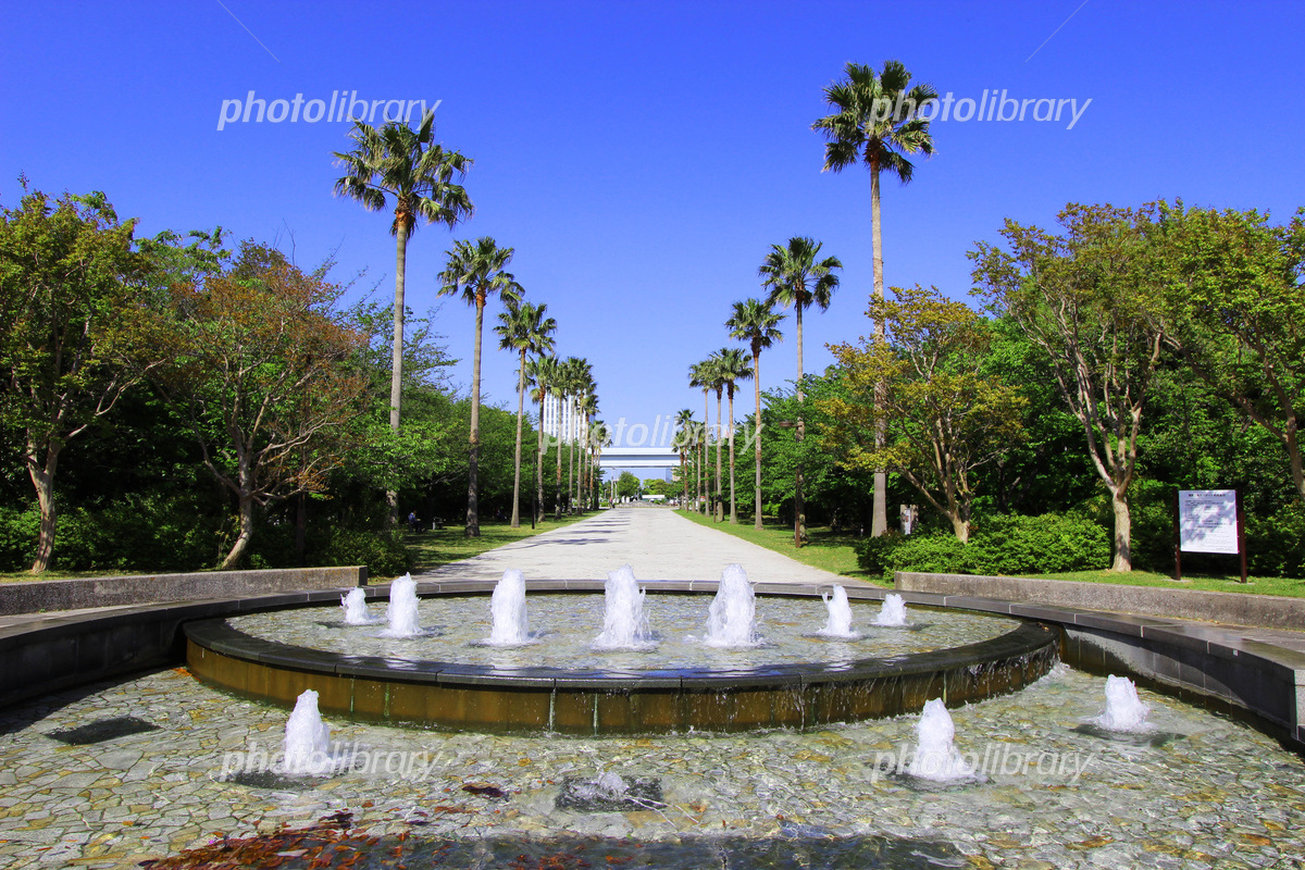 大型バイクが停められる都内駐輪場紹介 その2 潮風公園北駐車場内バイク駐輪場Tamao