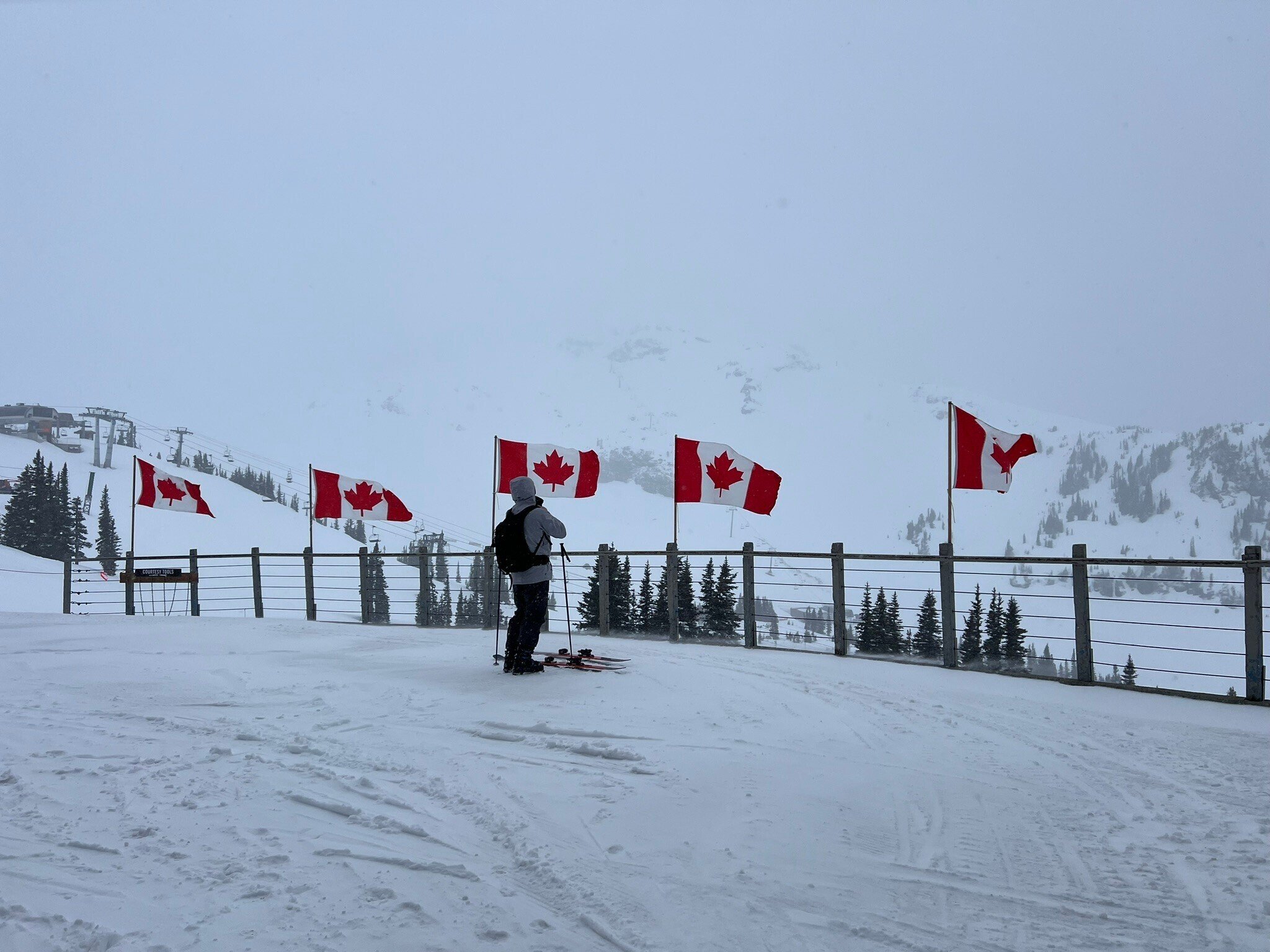 極パウ！ ウィスラー&ブラッコム編