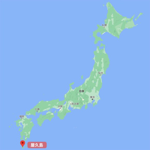 屋久島フィールドワーク講座－第10回・2008年－博物館班－報告書