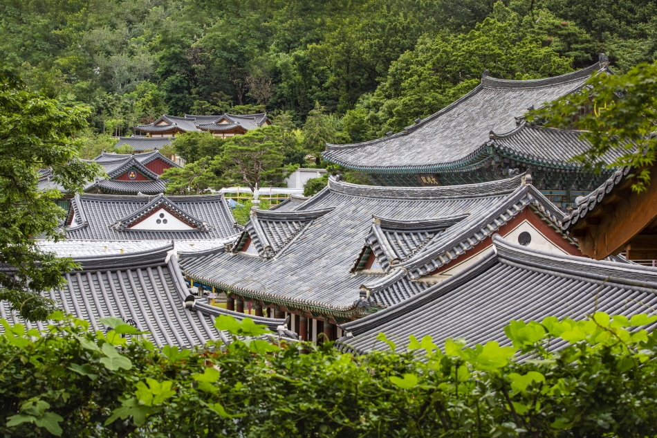 韓国 ソウルのインスタ映えな寺院「曹渓寺 チョゲサ