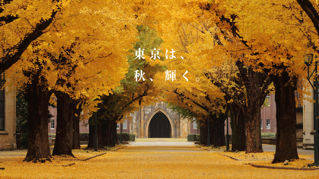 混雑なし穴場 大学キャンパスの桜でお花見７選！とらべるじゃーな！ 穴場