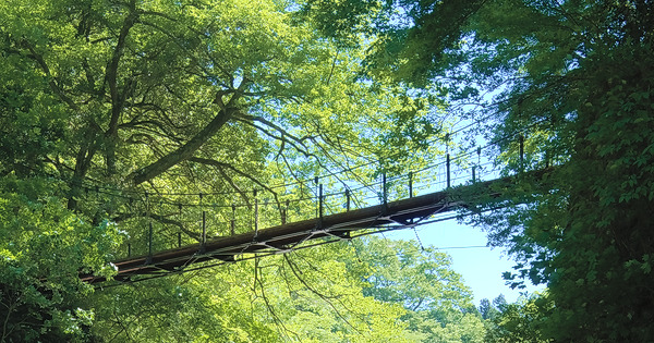 しだくら橋 むかし道 奥多摩川の橋