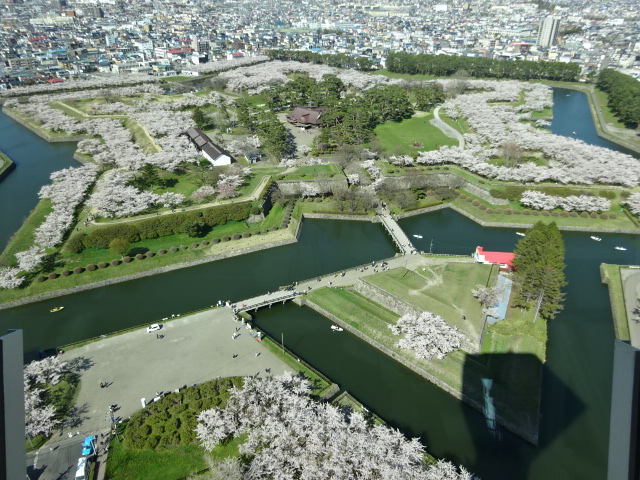 函館桜だより2019～五稜郭公園、函館公園、桜が丘通など特集一覧はこぶら
