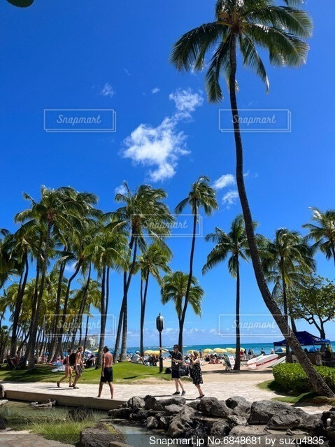 ハワイで家族写真トリップスナップ@tripsnap• Instagram photos and videos