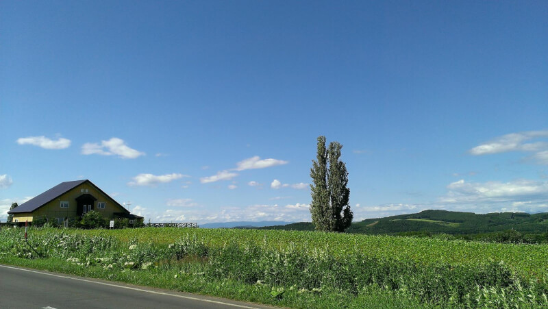 ケンメリの木沢田聖子オフィシャルブログ「In My Heartな旅日記」by Ameba