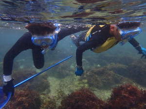 関東の最高峰！真鶴「番場浦海岸」でシュノーケリング 中上級者向け東京シュノーケリングブログ