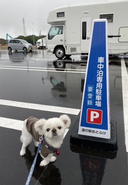 無料車中泊スポットレビュー 北海道当別町北欧の風 道の駅とう