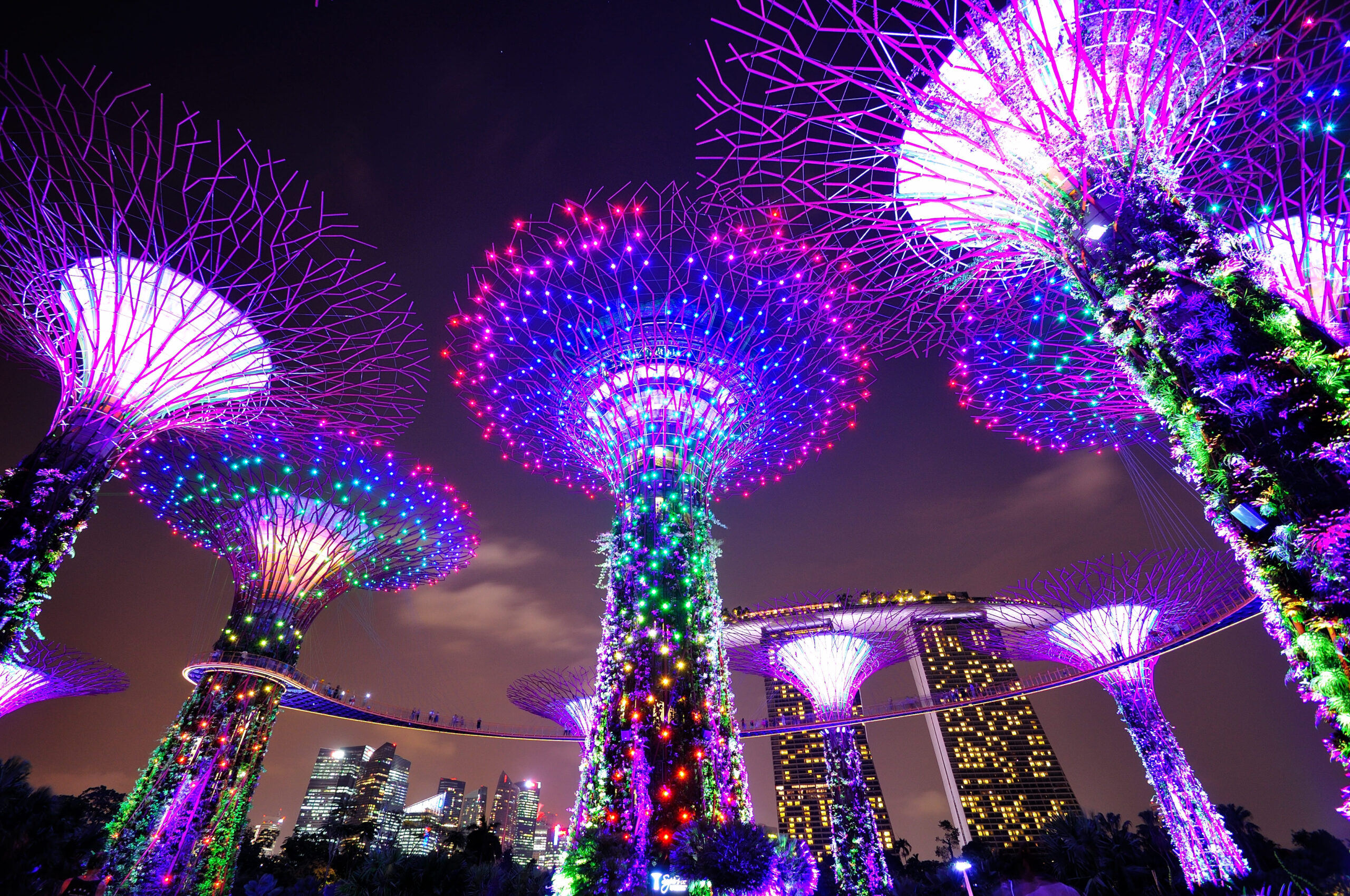 シンガポール唯一のユネスコ世界遺産ボタニックガーデン 植物園 へシンガポールワーホリ留学ブログワーホリ・英語留学・インターンの体験談