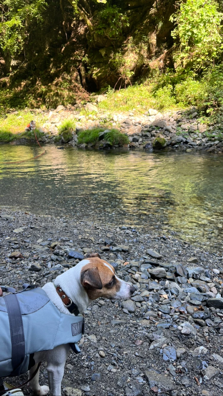 アクセス access 方向国立公園の宿