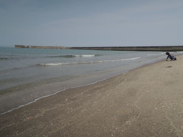 日本三大砂丘 鳥取「鳥取砂丘」・静岡「中田島砂丘」もう1カ所は？TABIZINE～人生に旅心を～