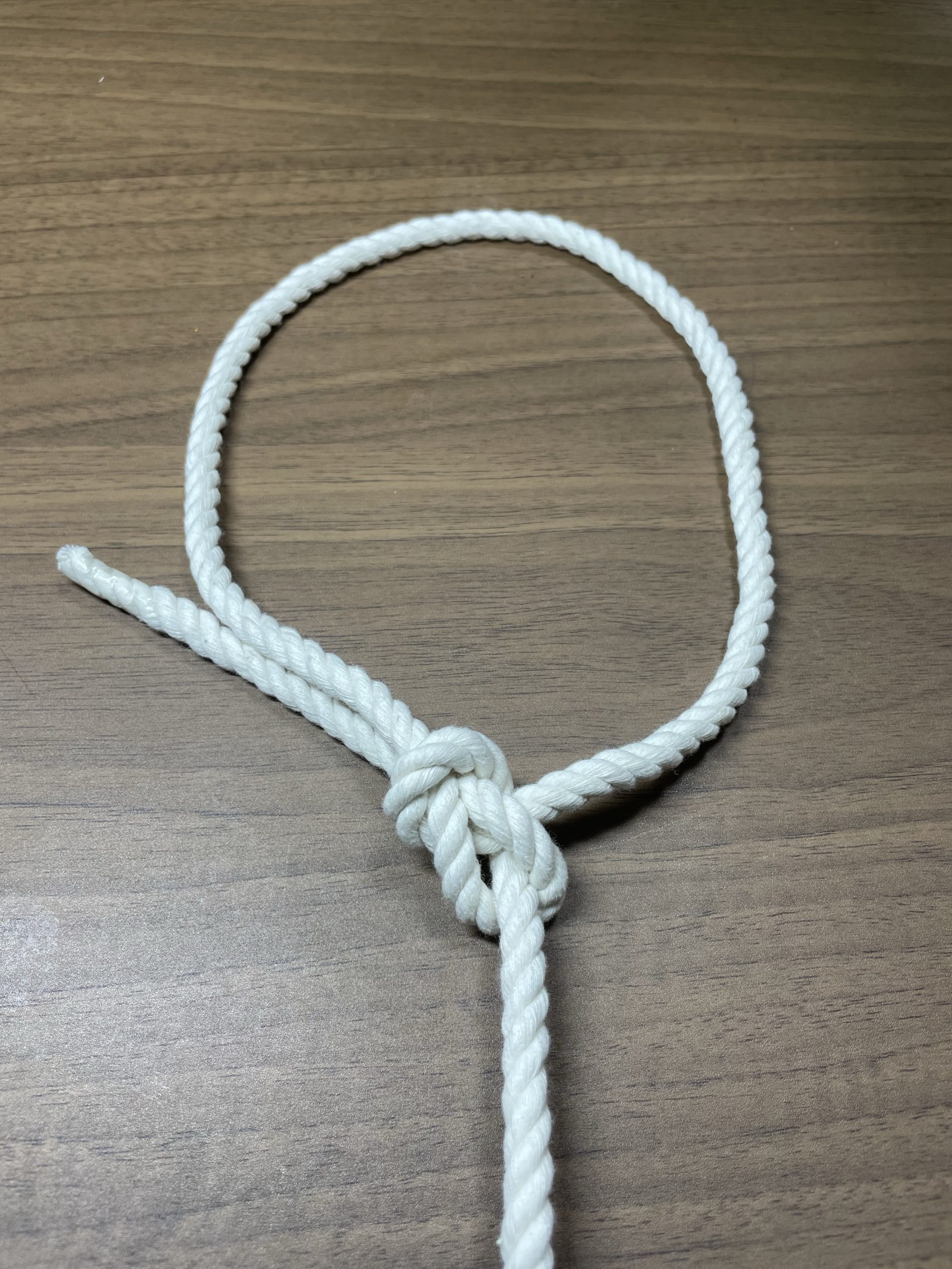 キャンプで役立つ超簡単ロープワーク3選！ もやい結び・ふた結び・巻き結び