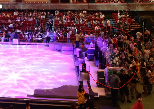 4歳子連れ 初めてのディズニー・オン・アイス名古屋公演 2022』名古屋 愛知県