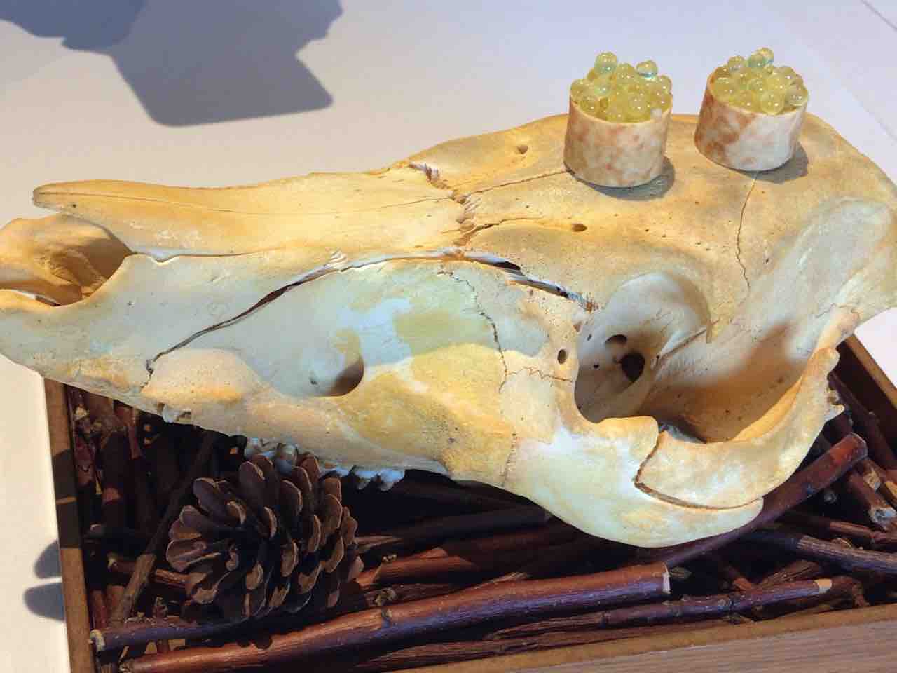 レストランUOZENフレンチ 三条市 新潟県