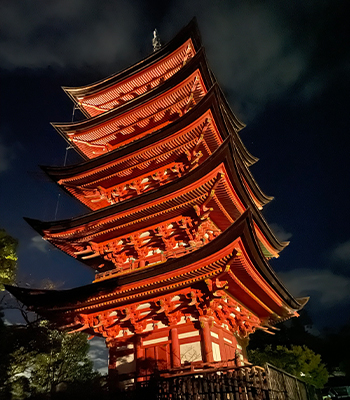 宮島 厳島 「金の鹿チーム」 : 日本の美