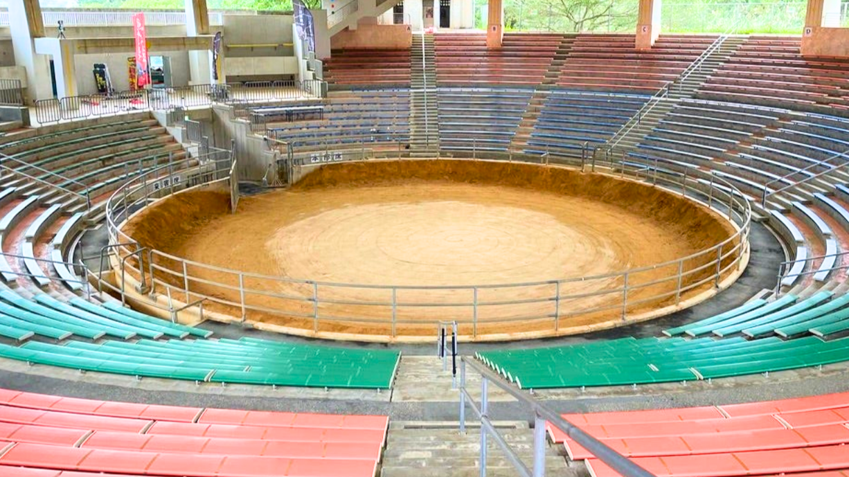 安慶名闘牛場旅サラダPLUS 観光・お出かけSPOT