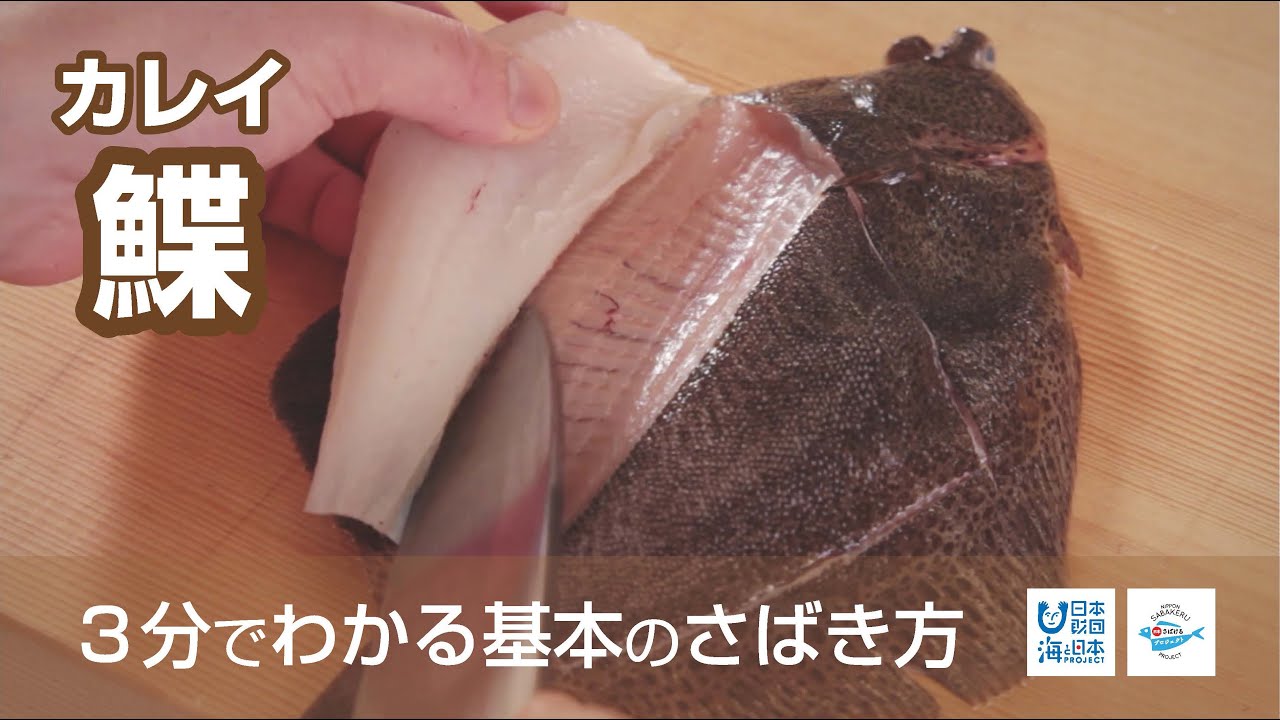 北海道仕様 カレイの投げ釣り最強自作仕掛け これで爆釣確定！？ -