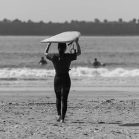 ビーチの写真集 - 洋書堂 ～おすすめの洋書のネット通販書店～