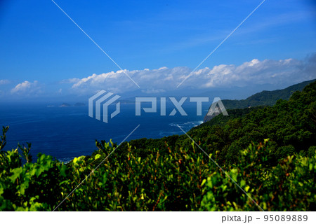 2023どこかにマイルで行ってみた 徳島 3日目 南阿波サンラインドライブ: 悪猫は寝てばっか