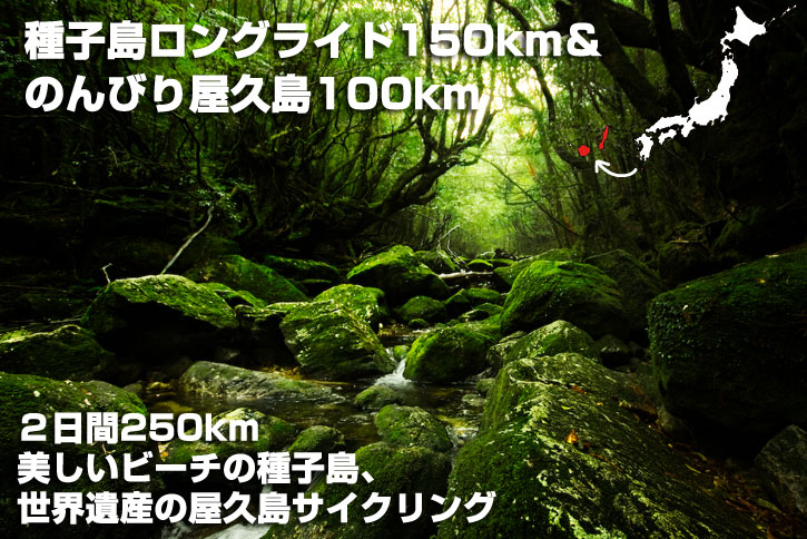 2013サイクリング屋久島』は尾之間スタートです。 - 屋久島バックアップ