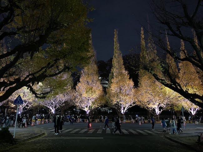 外苑前イチョウ並木 歩行者天国TikTok