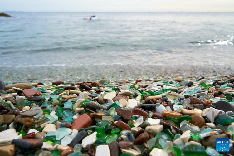 ガラス片がいっぱい！ニューヨーク・ブルックリンでビーチコーミングny0l0n