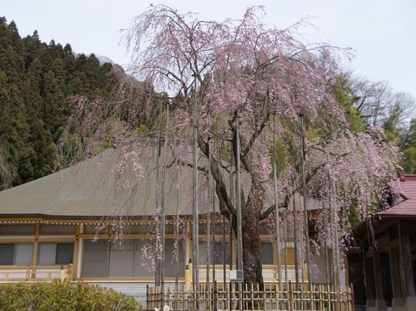 日本一の だいこくさま “運気UP”お願い❕ 中之嶽神社へ群馬の食いしん坊くまさん