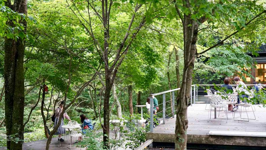 軽井沢町 子供の遊び場・子連れお出かけスポットいこーよ