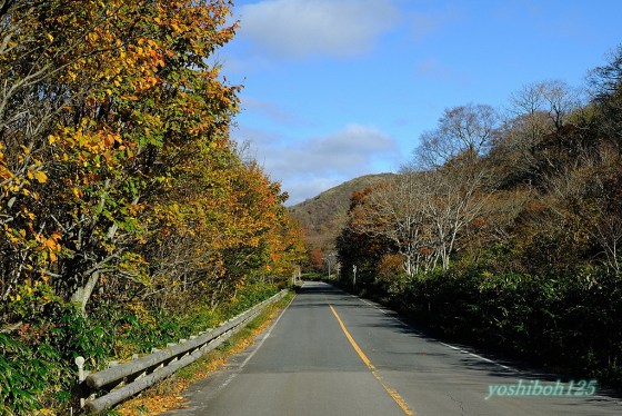 マストな絶景スポット！蒜山大山スカイライン鬼女台展望休憩所 - The Wadas