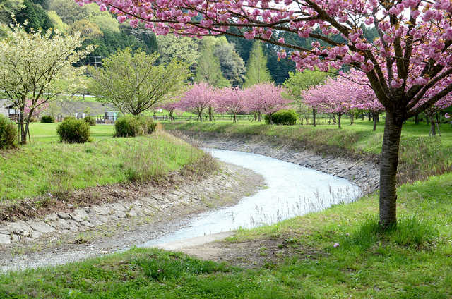 お外遊びをしよう！:知明湖キャンプ場で川遊び。明日から雨らしい