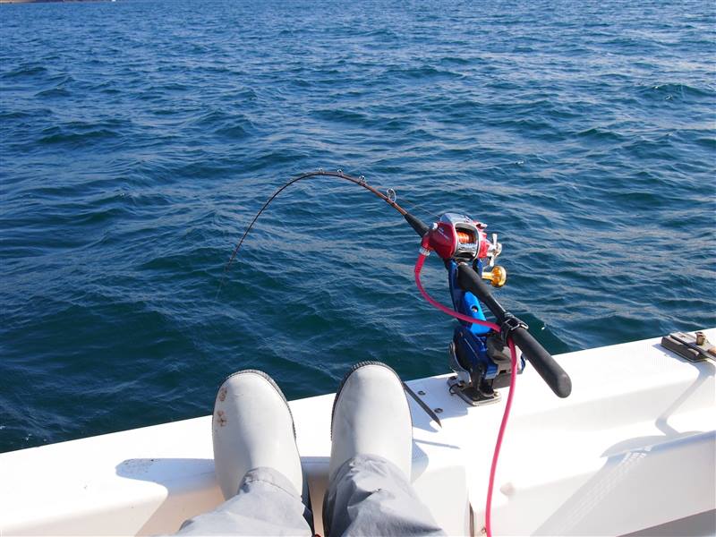 美智丸 ネット予約・釣割 最安値保証 -