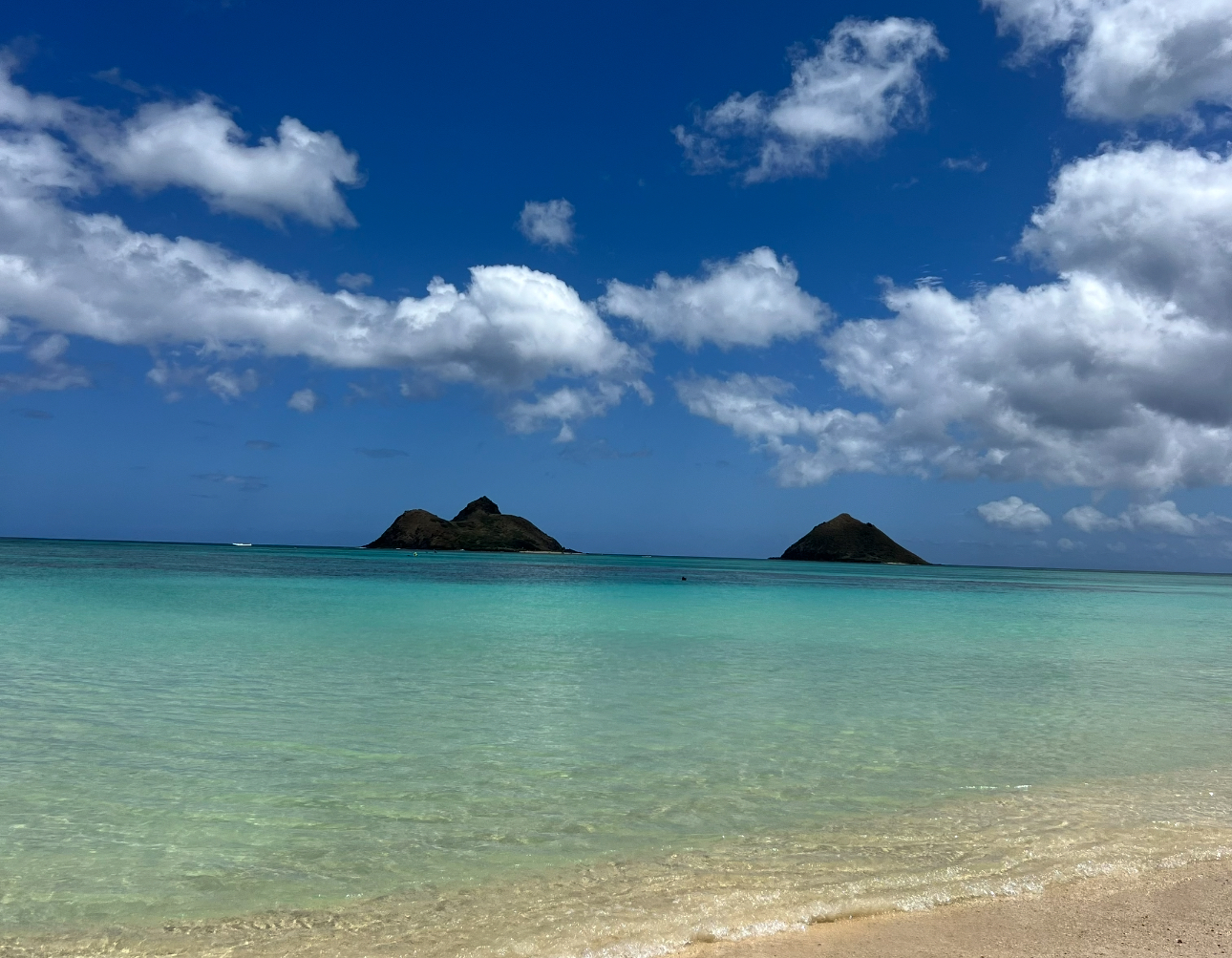 ハワイ州・ホノルルの美しい海、波、太陽に「アロハ！」ALOHAライフ海外資産コンシェルジュ三井不動産リアルティ