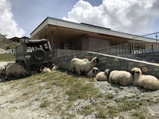 Scapes まだ見ぬ風景に出会う旅へ