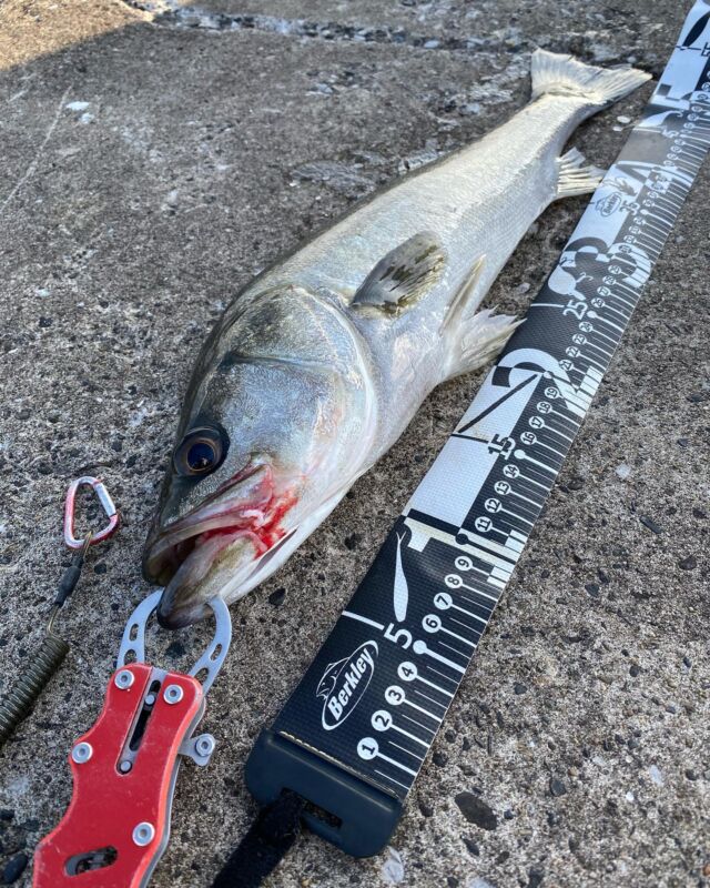 釣り記事を書かれちゃう長瀬智也さんのインスタの使い方が、実は一番正しいような気がした件徳力基彦 tokuriki