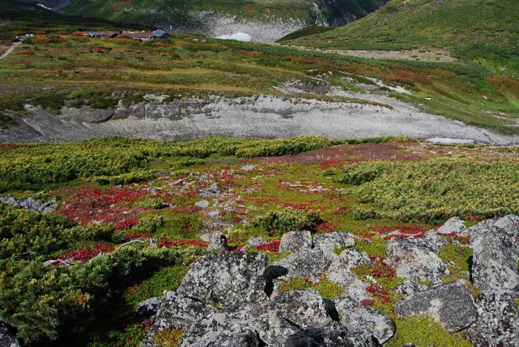 美深駅周辺の観光スポットこころから
