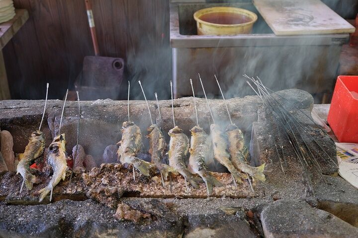 土日はコチラ※ 和歌山県岩出市 つりぼりで「コイ釣り！」初心者から上級者まで楽しめます♪手ぶらでＯＫ