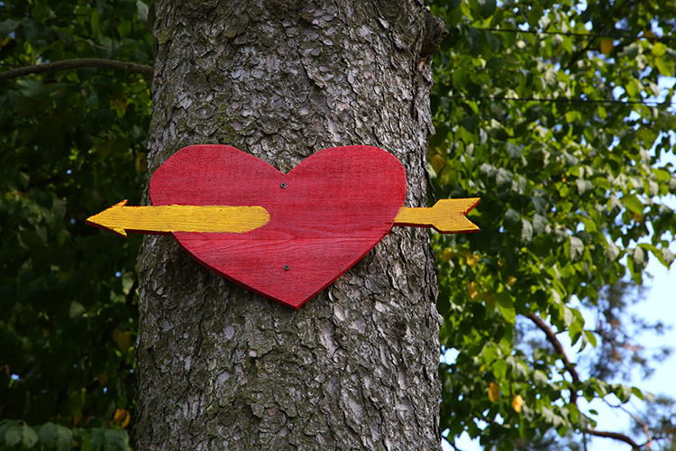 まるで日本版「恋のトンネル」銚子電鉄の本銚子駅 - 地球の撮り方