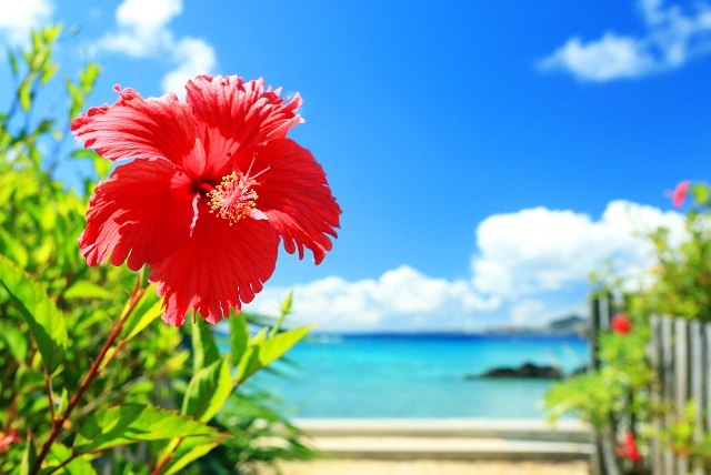 沖縄でおすすめのビーチ15選ツアー予約OK！綺麗な海と砂浜を満喫しよう