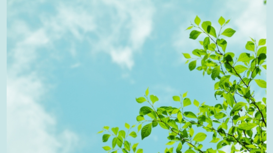 西武園遊園地ミズムラデザインのスタッフブログ：店舗 住宅 デザイン