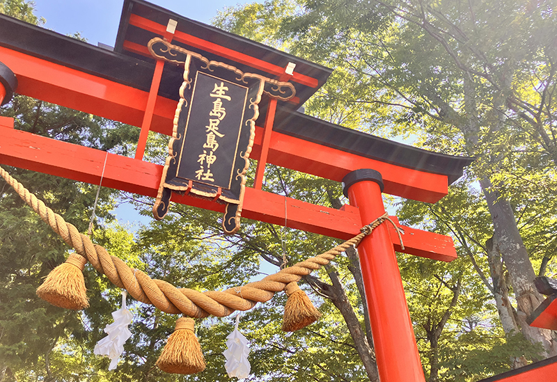 2025年 上田市で絶対外さないおすすめ観光スポットトップ10 -