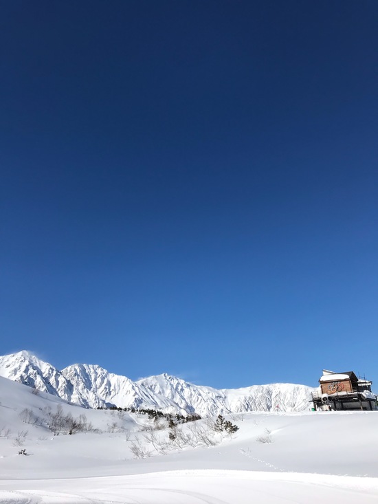 白馬八方尾根スキー場 現地レポート2020-2021スキーマガジン