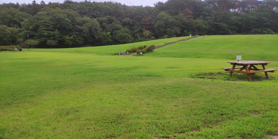 41 キャンプはもちろん、一年通して遊べるところ 水の森公園キャンプ場Speak out about