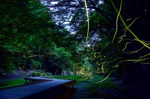 現地案内図亀岩の洞窟・濃溝 農溝 の滝・清水渓流広場